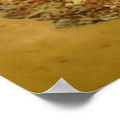 Poster Sirène sur les sables d'or (Coin)