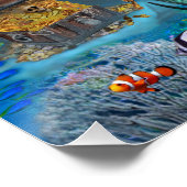 POSTER SIRÈNES DE LA GROTTE PIRATE (Coin)