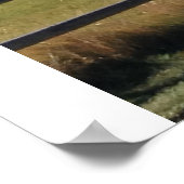 Poster Sisters, chaîne de montagnes de l'Oregon (Coin)