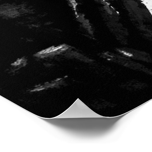 Poster SIT "Turtle" (Coin)