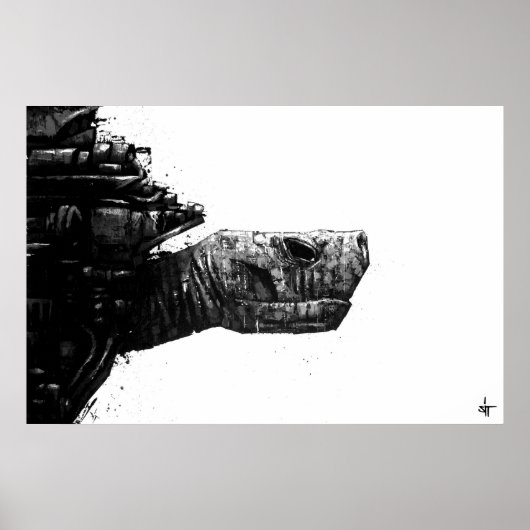 Poster SIT "Turtle" (Devant)