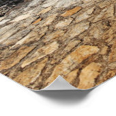 Poster Site archéologique d'Ek-Balam (Coin)