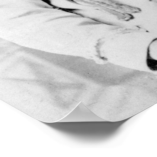 Poster Sitting (Coin)