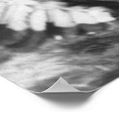 Poster Sitting Bull et Buffalo Bill Portrait de 1885 (Coin)