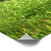 Poster Siverstar Hdr (Coin)