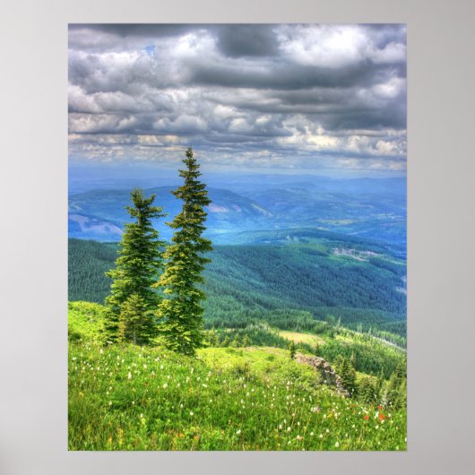 Poster Siverstar Hdr (Devant)