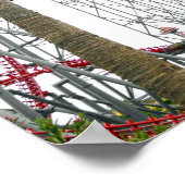 Poster Six Flags Magic Mountain (Coin)