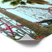 Poster Six Flags Magic Mountain (Coin)