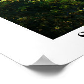 POSTER SIX MILLIERS DE CREEK (Coin)