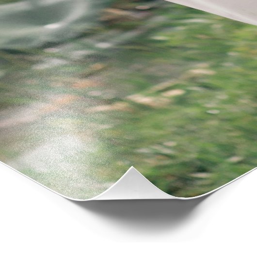 Poster Size Photo Print – Custom Large Wall Art (Coin)