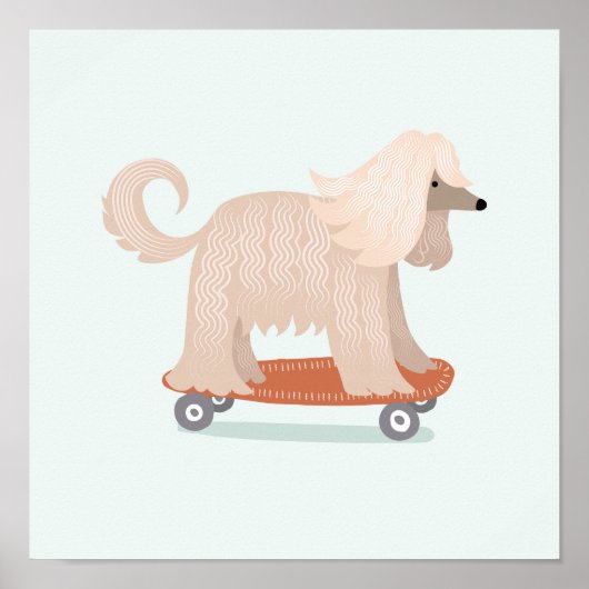 Poster Skateboard Afghan (Devant)
