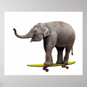 Poster Skateboard éléphant (Devant)