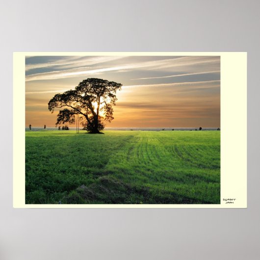 Poster Skati de Kurzemes (Devant)