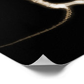 POSTER SKELETON DE CHIEN À POIVRE X-RAY - SEPIA (Coin)