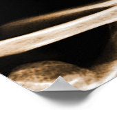 POSTER SKELETON DE VISION X-RAY SKULL - ORANGE (Coin)