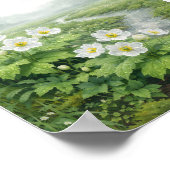 Poster Skeleton Flower (Diphylleia grayi) – Art Print (Coin)