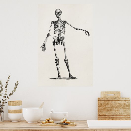 Poster Skeleton Retro Anatomy Skeletons des années 1800 v (Cuisine)