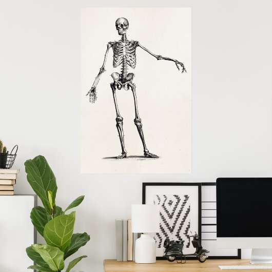 Poster Skeleton Retro Anatomy Skeletons des années 1800 v (Bureau à domicile)