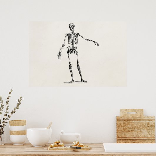 Poster Skeleton Retro Anatomy Skeletons des années 1800 v (Cuisine)