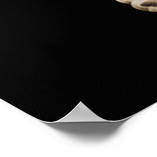 POSTER SKELETON X-RAY SUR MEGAPHONE - SEPIA (Coin)