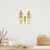 Poster Skeletons hommes et femmes (Cuisine)
