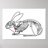 POSTER SKELY BUN (Devant)