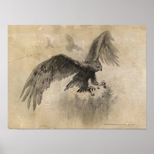 Poster Sketch de Great Eagles (Devant)