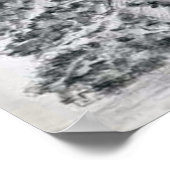 POSTER SKETCH LIVE OAK TREE (Coin)