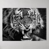 Poster Sketch of a wild tiger in black and whiteblack,whi (Devant)