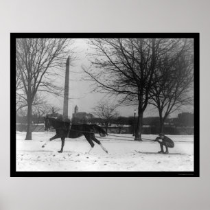 Poster Skiant derrière le cheval Washington, dc 1919