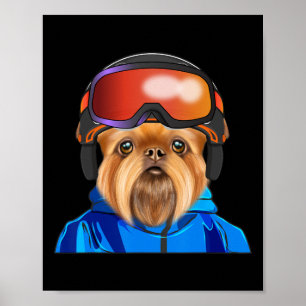 Poster Skier Brussels Griffon Snowboard Chien