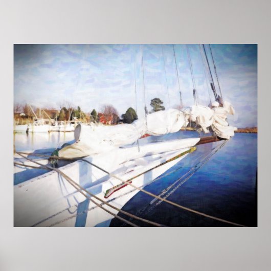 Poster Skipjack (Devant)