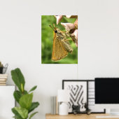 Poster Skipper sur Milkweed (Bureau à domicile)