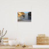 Poster Skogafoss Islande (Cuisine)