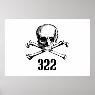 Poster Skull and Bones 322