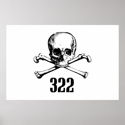 Poster Skull and Bones 322 (Devant)
