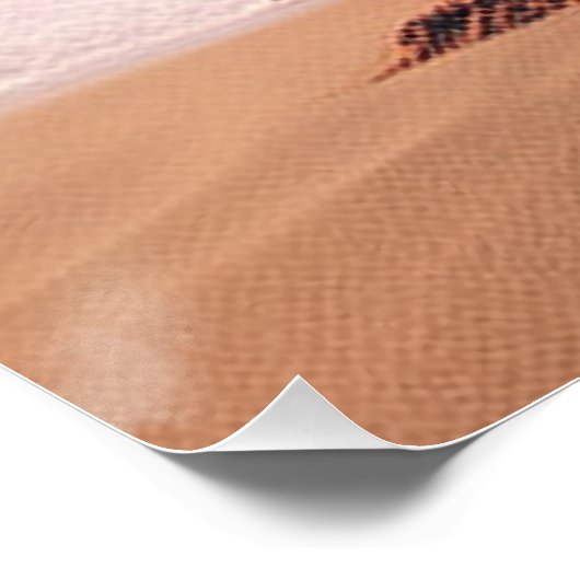 Poster Skull on the beach (Coin)