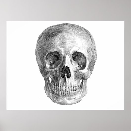 Poster Skull Sketch parfait pour la fête d'Halloween beso (Devant)
