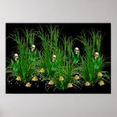 Poster Skulls in the Weeds (Devant)