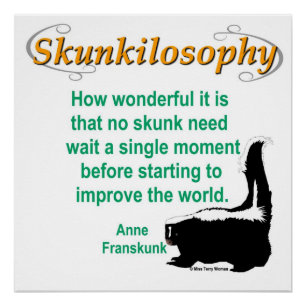 Poster Skunkilosophy : Améliorer le monde