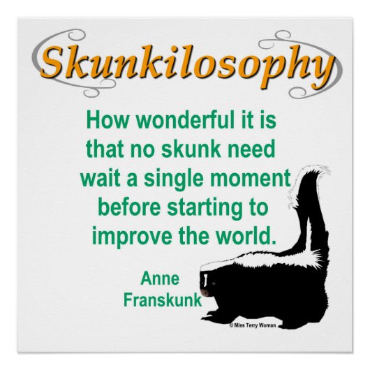 Poster Skunkilosophy : Améliorer le monde (Devant)