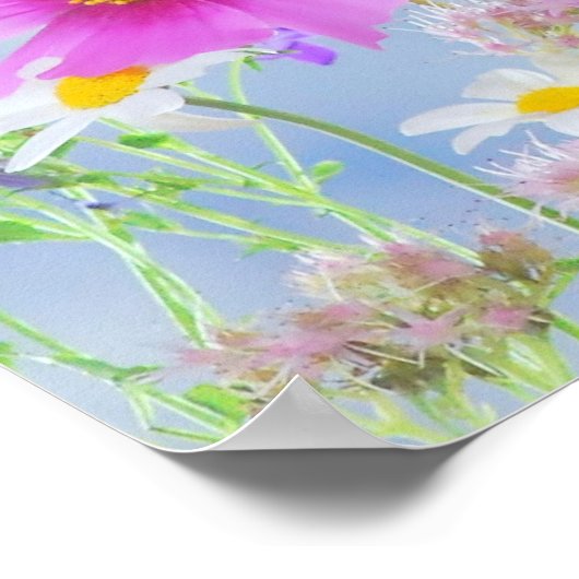 Poster Sky Spring (Coin)