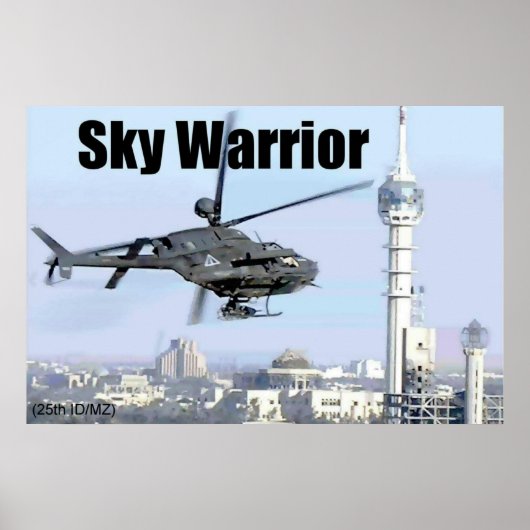 Poster Sky Warrior (Devant)