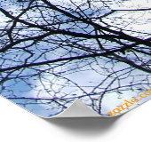 POSTER SKY WEBBBED. (Coin)