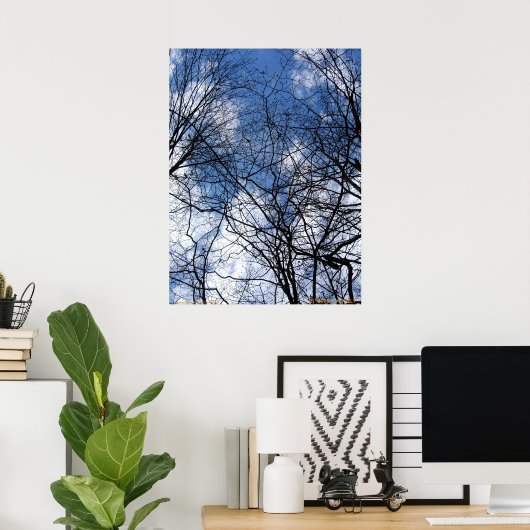 POSTER SKY WEBBBED. (Bureau à domicile)