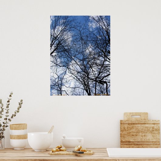 POSTER SKY WEBBBED. (Cuisine)