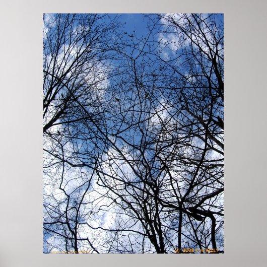 POSTER SKY WEBBBED. (Devant)