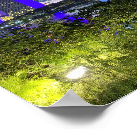 Poster Skyline de Singapour par nuit (Coin)