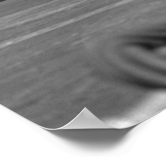 Poster Skyraider (Coin)