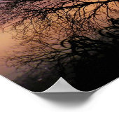 Poster Skyscape Branches (Hoek)